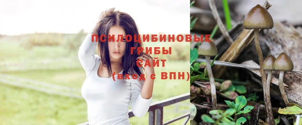 мяу мяу кристалл Арсеньев