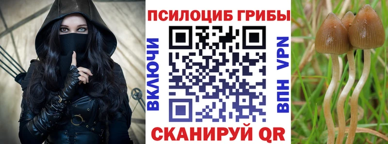 Галлюциногенные грибы Magic Shrooms  Лангепас 